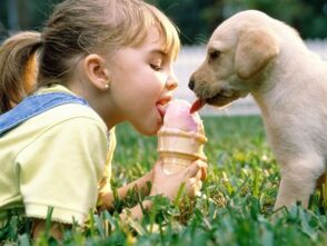 una ragazza mangia il gelato con un cane e viene infettata da parassiti